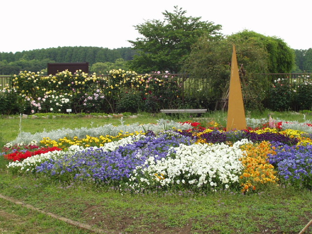 img0047.jpg