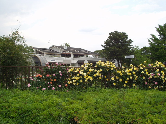 img0048.jpg