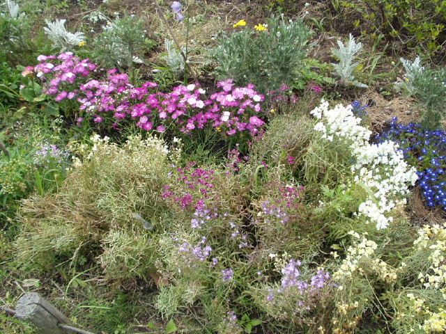 img0049.jpg