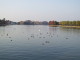 img0000.jpg