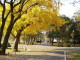 img0001.jpg