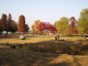 img0003.jpg