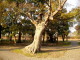 img0012.jpg