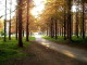 img0013.jpg