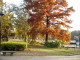 img0015.jpg