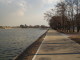 img0019.jpg
