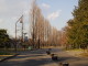 img0022.jpg