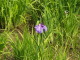 img0033.jpg