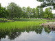 img0035.jpg
