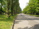 img0043.jpg