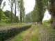img0045.jpg