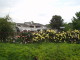 img0048.jpg