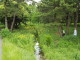 img0051.jpg