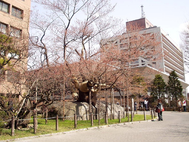 img0009.jpg