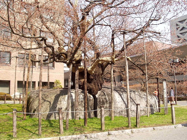 img0010.jpg