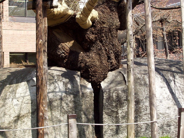 img0011.jpg