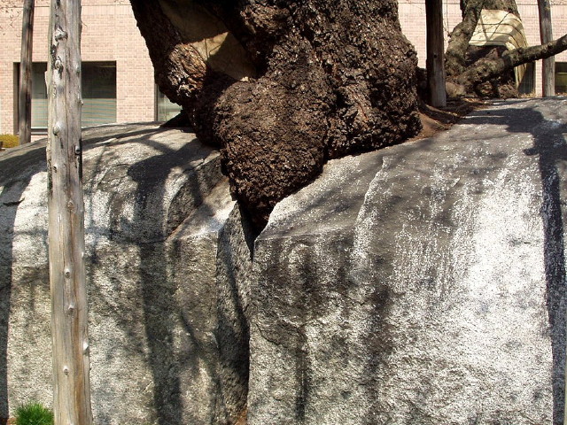 img0012.jpg