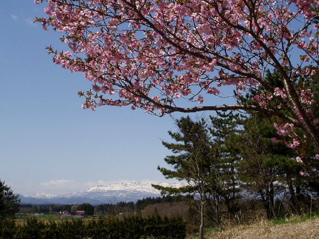 img0016.jpg