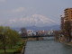 img0008.jpg