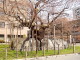 img0010.jpg