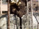 img0011.jpg