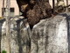 img0012.jpg