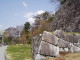img0014.jpg