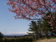img0016.jpg