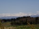 img0017.jpg