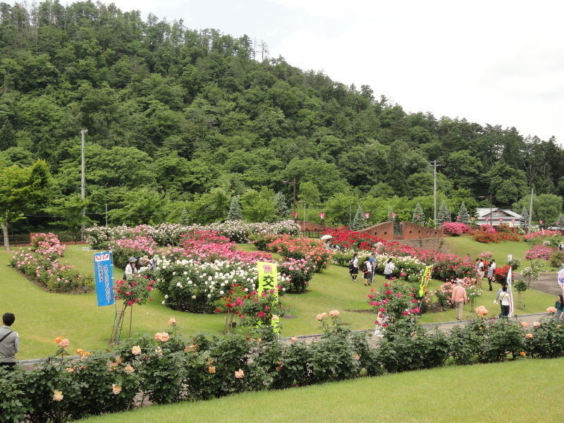img0004.jpg