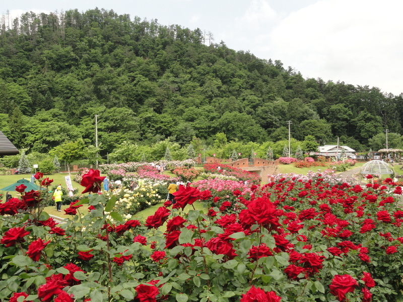 img0006.jpg