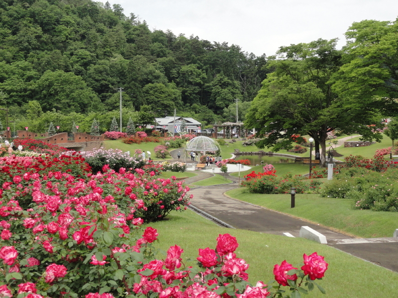 img0007.jpg