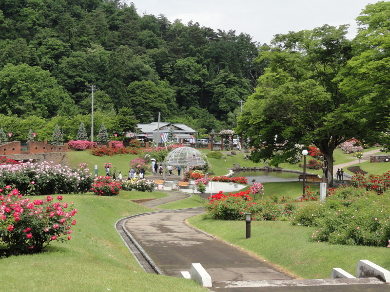 img0009.jpg