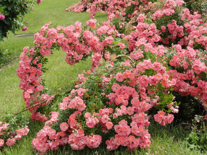 img0010.jpg