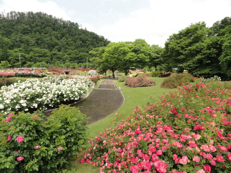 img0012.jpg