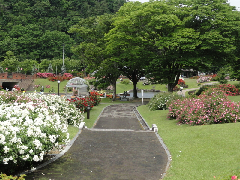 img0013.jpg