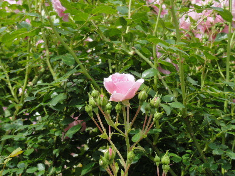 img0027.jpg