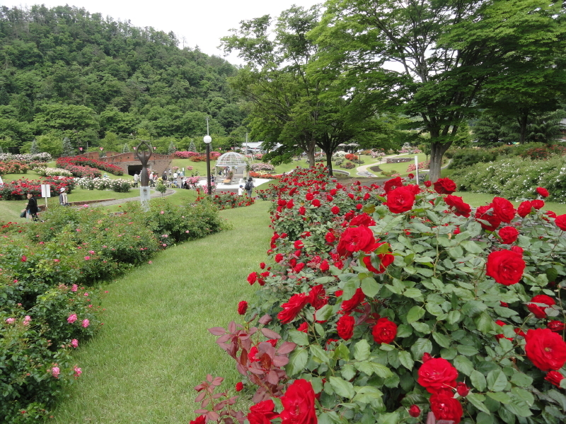 img0031.jpg