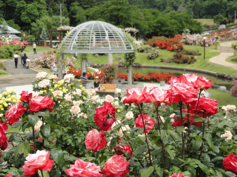 img0042.jpg