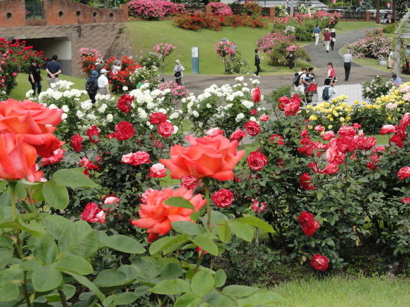 img0051.jpg
