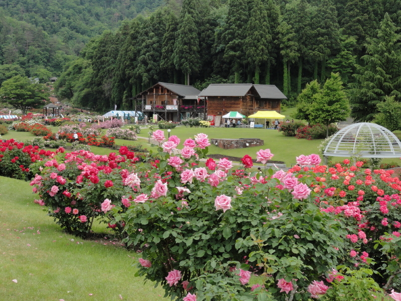 img0058.jpg