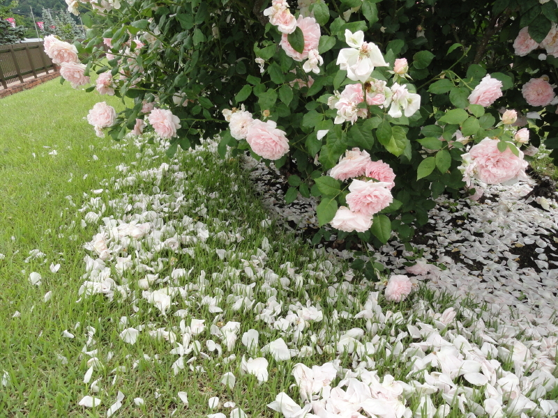 img0059.jpg