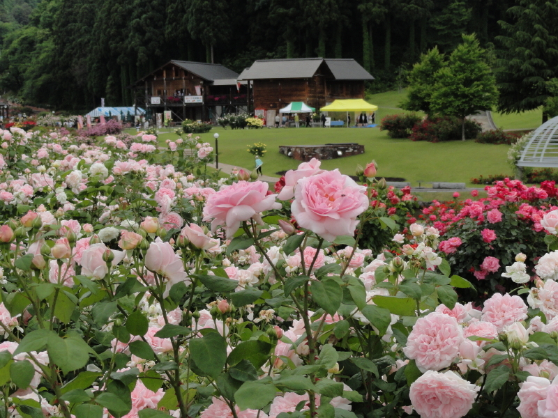 img0060.jpg