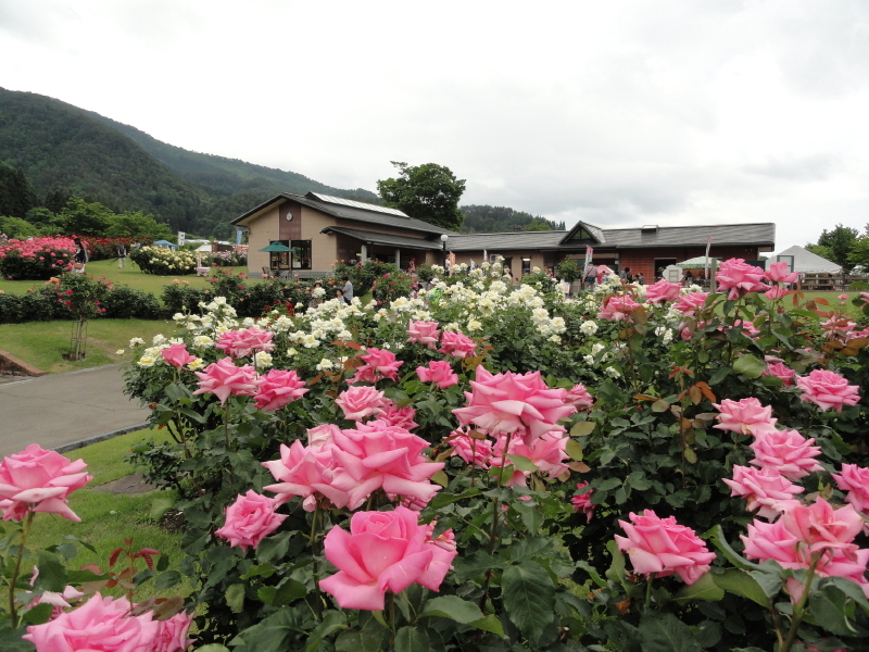 img0065.jpg