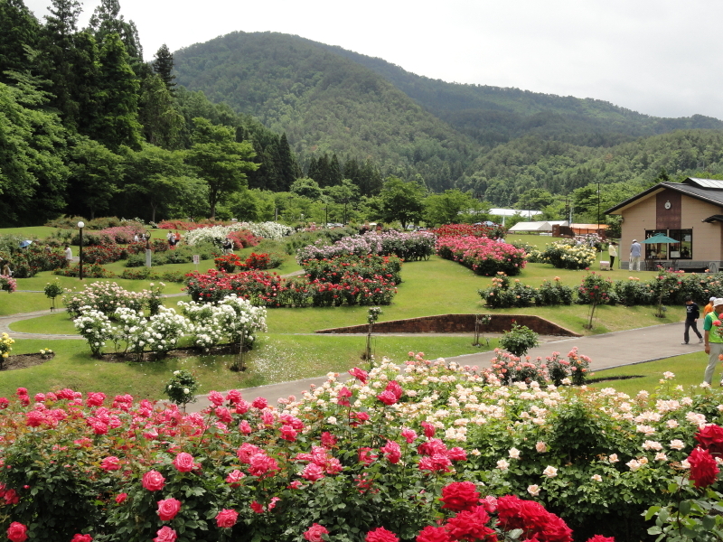 img0071.jpg