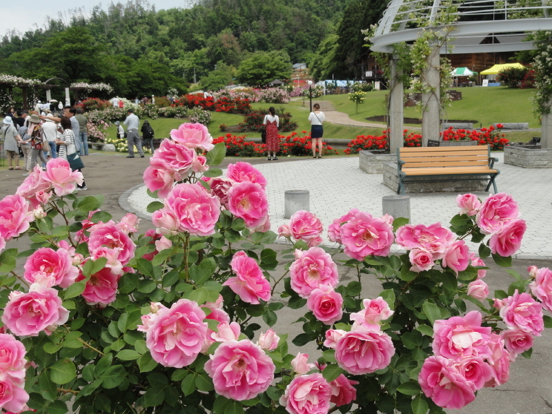 img0072.jpg