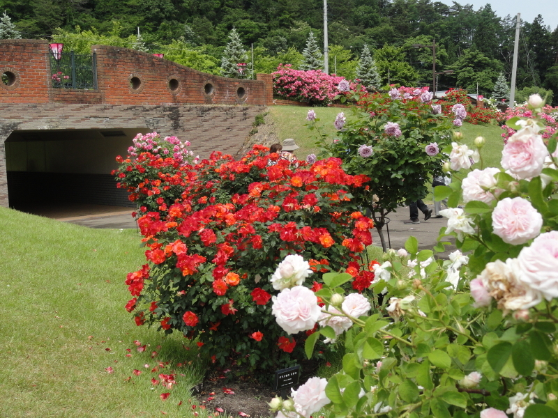 img0075.jpg