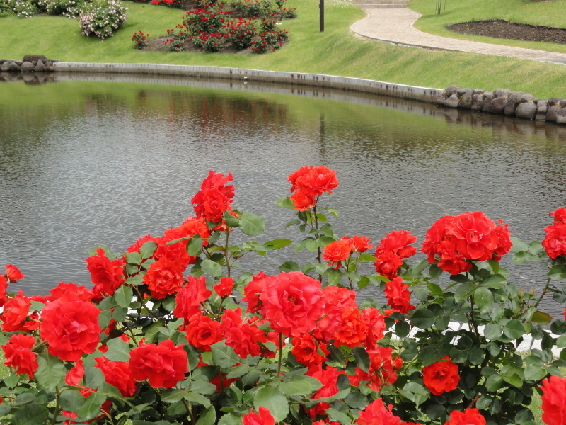 img0080.jpg