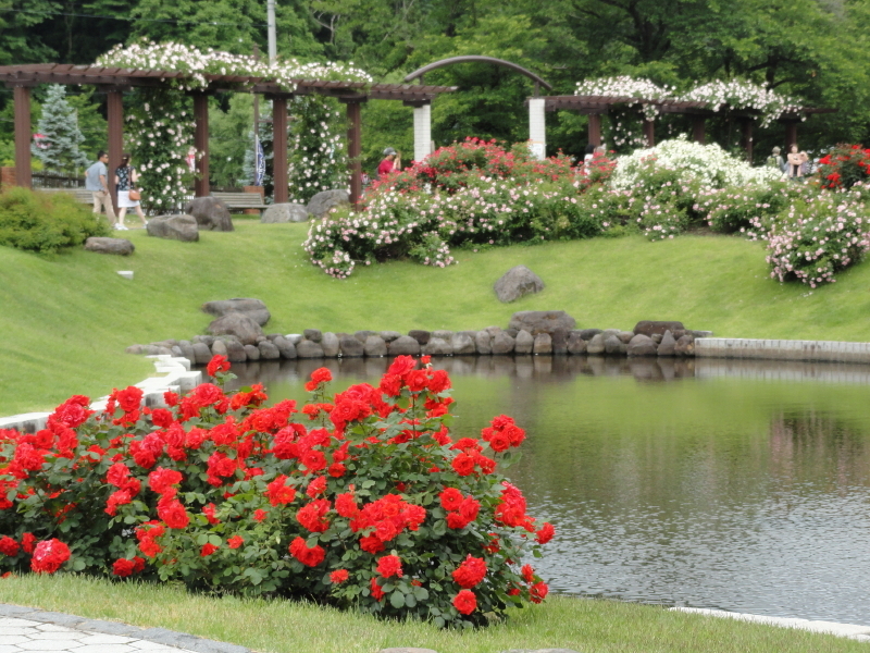 img0083.jpg