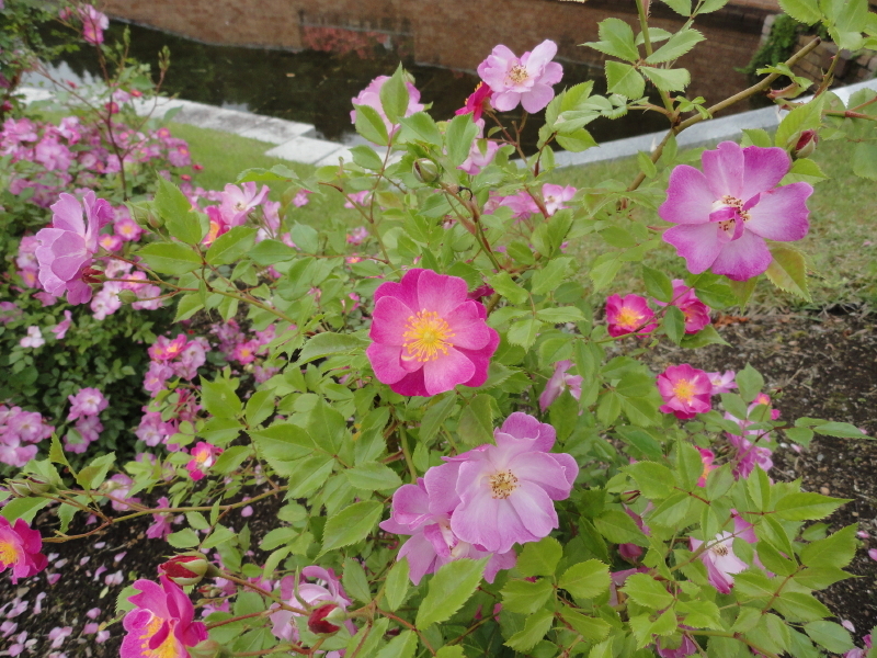 img0084.jpg